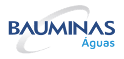 Bauminas Química